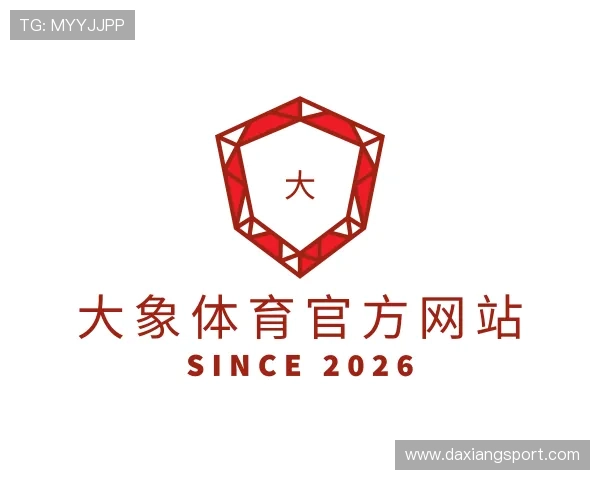 关于大象体育官方网站